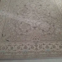 فرش ۹ متری و ۶ متری|فرش|مشهد, دانشجو|دیوار