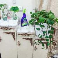 ست جا کفشی و میز تلویزیون