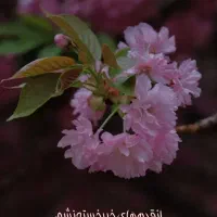راهنمایی درمورد افزایش وزن