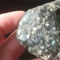 شهاب سنگ پالاساید