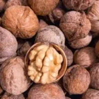 گردو تازه 40 کیلو