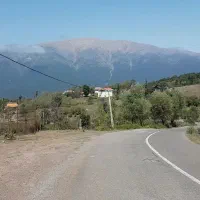 تور یکروزه جنگل سیدشت