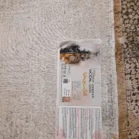 ۲تخته فرش نو خاطره کاشان|فرش|دماوند, دماوند|دیوار