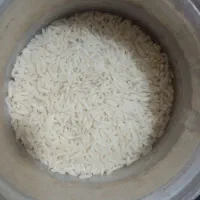 برنج هاشمی یک گیلان