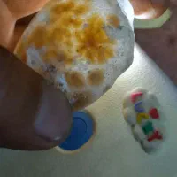 سنگ شجر.درختی