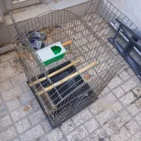 قفس آهنی با لوازم