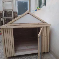 ساخت وسایل چوبی و قفسه حیوانات|لوازم جانبی حیوانات|کرمانشاه, |دیوار