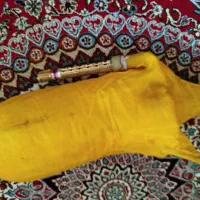 همبان|سازهای بادی|اصفهان, بهارستان|دیوار