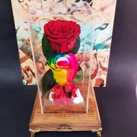 گل رز جاودان ماندگار تولد سالگرد ازدواج جاویدان|گل و گیاه طبیعی|تهران, میدان ولیعصر|دیوار