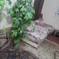 جراحی درختچه  مصنوعی|گل مصنوعی|زاهدان, |دیوار