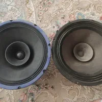 دو عدد باند دوازده اینج