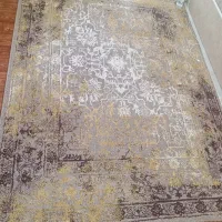 گلیم فرش ۴ متری|گلیم، جاجیم، گبه|بوشهر, |دیوار