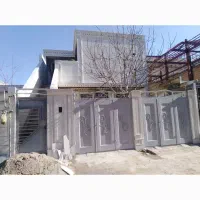 اجاره  پاپی خالدار