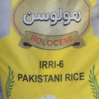 فروش برنج هولوسن سفارش تناژ بالا ۳۸۶وایریسکس