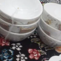 سرویس بشقاب|ظروف سرو و پذیرایی|بیرجند, |دیوار