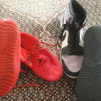 دو جفت کشور ورزشی و کشتی در حد نو ۴۰و ۴۲