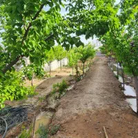 باغ ویلا. مجتمع گوهر هشتم|فروش زمین و ملک کلنگی|مشهد, کلاکوب|دیوار