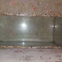 آکواریوم