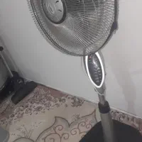 پنکه زمینی