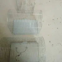 قفسه پرنده