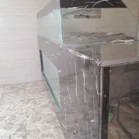 تاپینگ ترشی|فروشگاه و مغازه|اهواز, کمپلو شمالی|دیوار