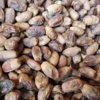 دیری|خوردنی و آشامیدنی|اهواز, پردیس|دیوار