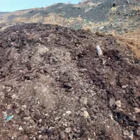 فروش کود گوسفندی