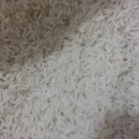 برنج برداشت دوم شمال طارم|خوردنی و آشامیدنی|کهریزک, |دیوار