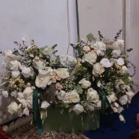 گل طبیعی|گل و گیاه طبیعی|تهران, خاک سفید|دیوار