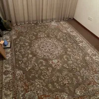 فرش|فرش|سهند, |دیوار