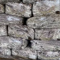 فروش کمپوست پرورش قارچ دکمه ای|گل و گیاه طبیعی|مشهد مرغاب, |دیوار