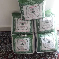 چای الحجی