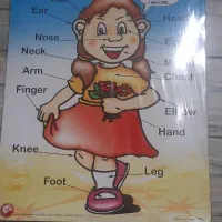 مدرس زبان انگلیسی خانم جهت تدریس در اموزشگاه