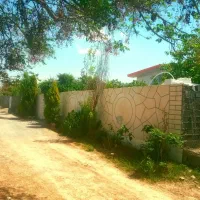 باغ-و-باغچه-دوکله-دنج