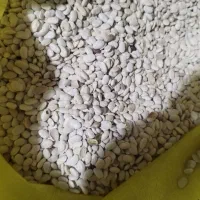 انواع لوبیا|خوردنی و آشامیدنی|شیراز, شیخ علی چوپان|دیوار