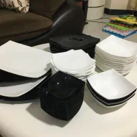 سرویس آرکوپال روز و شب لومینارک