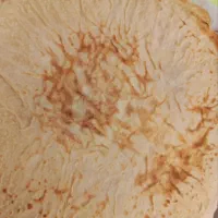 نان محلی تیری