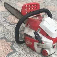 قطع و برش هر گونه درخت.