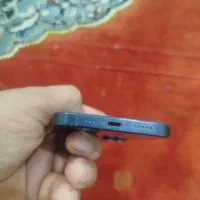 iphone13|موبایل|تربت جام, میان جام|دیوار