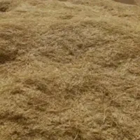کاه گندم تمیز