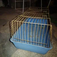 قفس سهره و قفس خرگوش