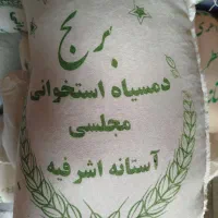 برنج اقتصادی ایرانی هاشمی/دمسیاه/طارم/جواهری گیلان|خوردنی و آشامیدنی|تهران, شهران جنوبی|دیوار