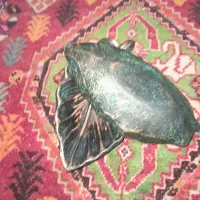 شیرنی شکلات خوری به شکل برگ درخت برگ درخت|صنایع دستی و سایر لوازم تزئینی|شیراز, دارالرحمه|دیوار