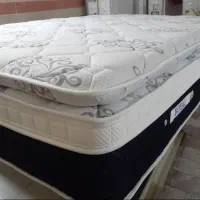 ممـوری پددار/یورولوکس code2030