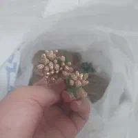 گیفت حنا و قند و لوازم اولیه گیفت قند و حلقه و ..|صنایع دستی و سایر لوازم تزئینی|تهران, مولوی|دیوار
