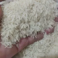 برنج طارم احمدی روشن|خوردنی و آشامیدنی|کلاله, |دیوار