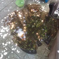 مبل ۷ نفره به همراه میز عسلی