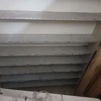 جانخی