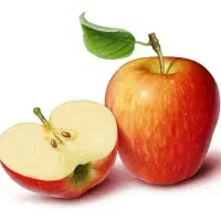 مشاوره تغذیه و رژیم درمانی توسط متخصص