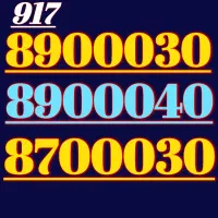 917.89000.30